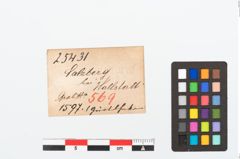Etikett zu Bronzegürtelhaken (NHMW-PRAE-025431)